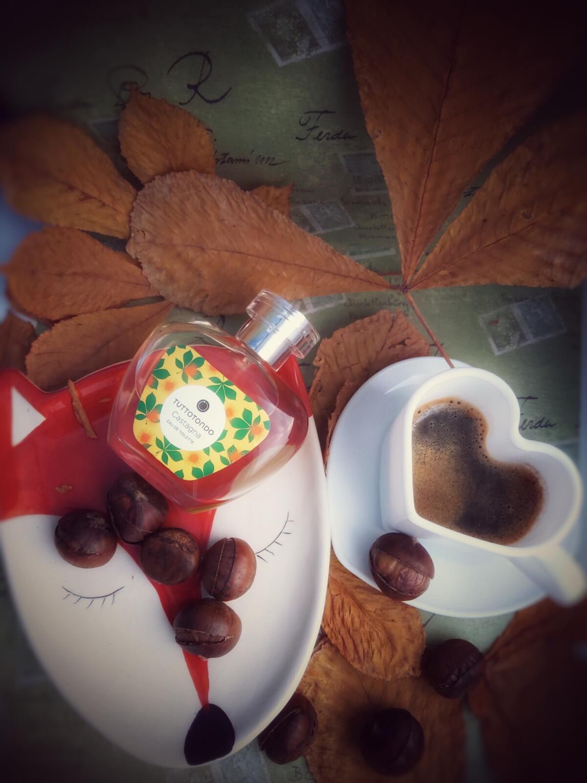 عطر ادکلن کستانیا توتوتوندو - Castagna Tuttotondo - بررسی، قیمت و خرید