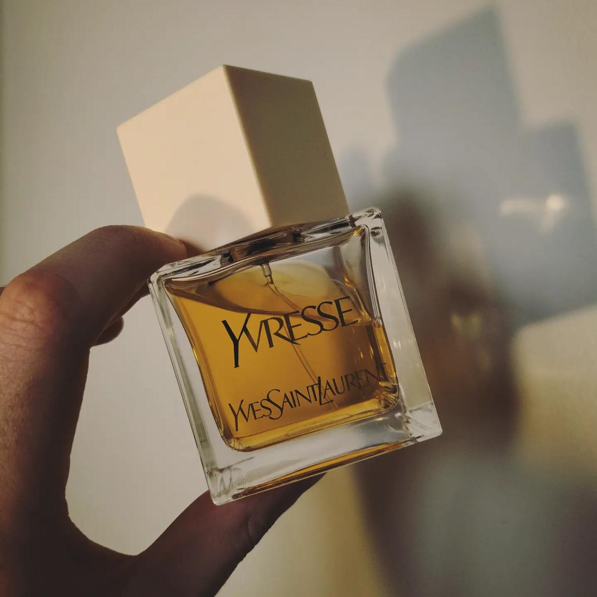 عطر ادکلن لا کالکشن ایورِس ایو سن لوران - La Collection Yvresse Yves Saint Laurent - بررسی، قیمت و خرید