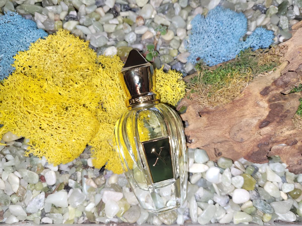 عطر ادکلن کوبه زرژف - Kobe Xerjoff - بررسی، قیمت و خرید