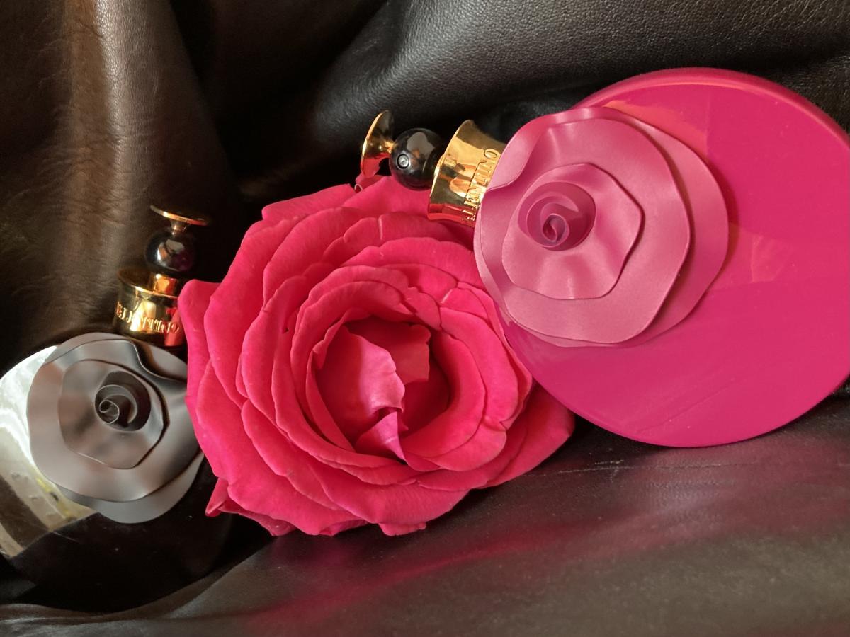 عطر ادکلن والنتینا روسا آسولوتو والنتینو - Valentina Rosa Assoluto Valentino - بررسی، قیمت و خرید