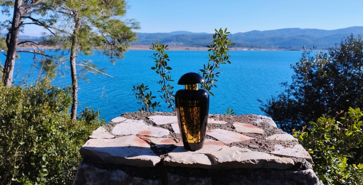 عطر ادکلن ونیزیا اسنزا پور فم د مرچنت آو ونیز - Venezia Essenza Pour Femme The Merchant of Venice - بررسی، قیمت و خرید