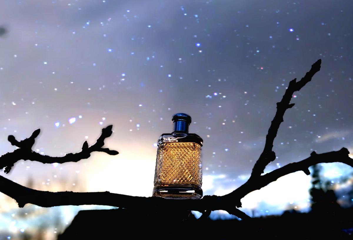 عطر ادکلن سافاری فور من رالف لورن - Safari for Men Ralph Lauren - بررسی، قیمت و خرید