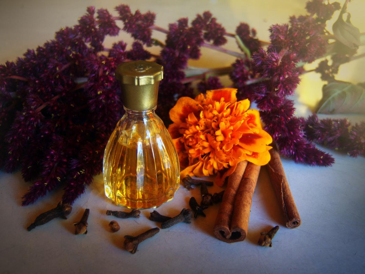 عطر ادکلن هاس‌شیش فم وی‌جاگا - Hascish Femme Veejaga - بررسی، قیمت و خرید