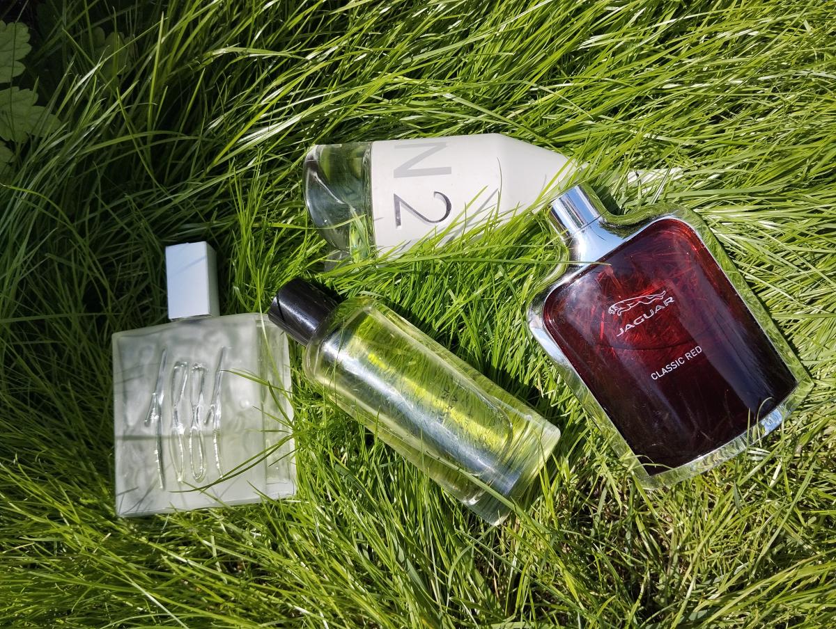 عطر ادکلن لابسکوریته د لو زارا - L'Obscurite de L'Eau Zara - بررسی، قیمت و خرید