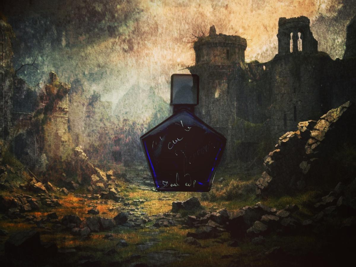 عطر ادکلن لود تاور پرفیومز - L'Oudh Tauer Perfumes - بررسی، قیمت و خرید