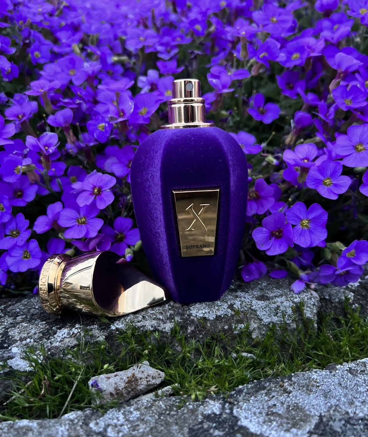 عطر ادکلن سوپرانو زرژاف - Soprano Xerjoff - بررسی، قیمت و خرید