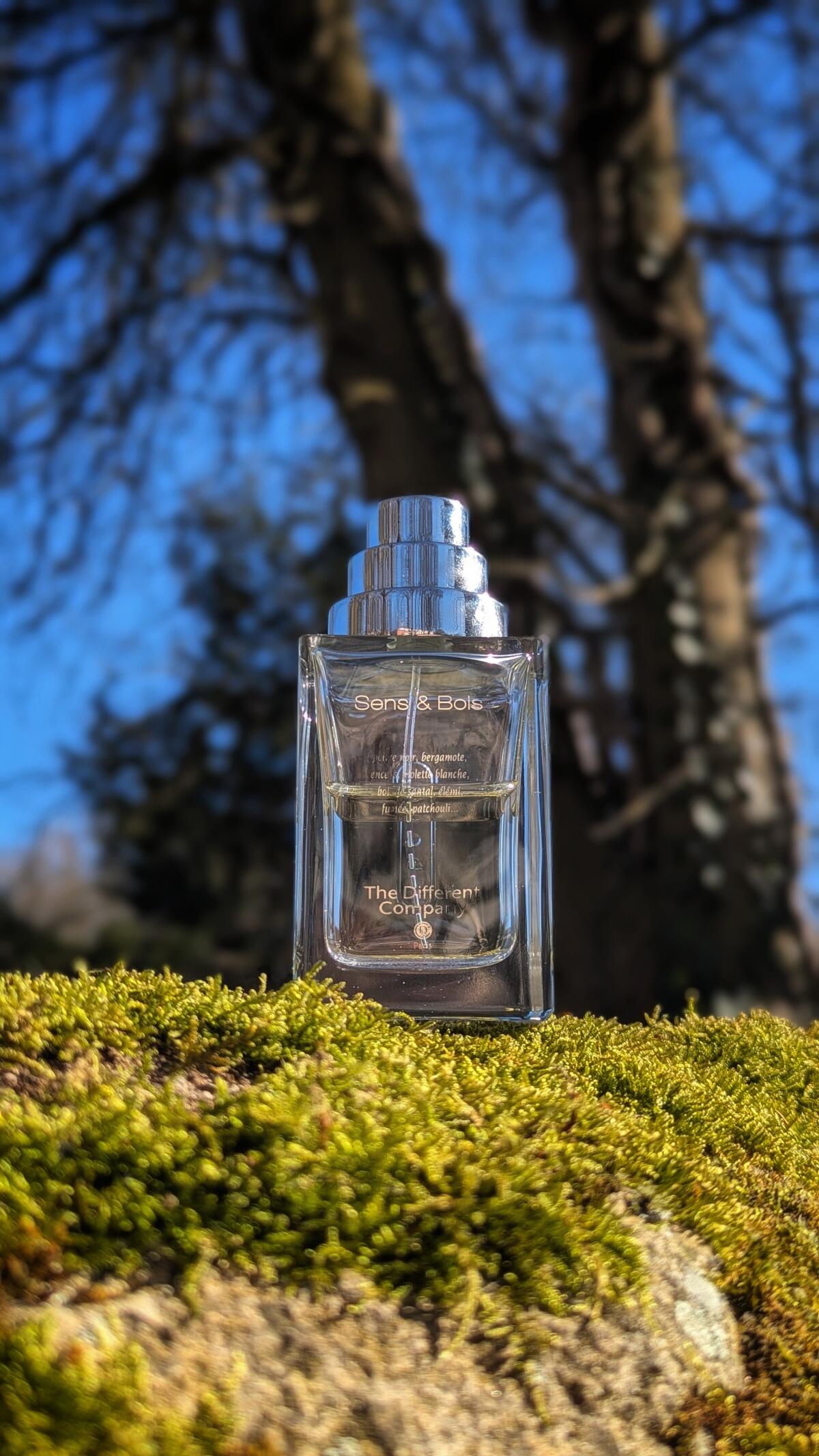 عطر ادکلن سن بوآ د دیفرنت کامپنی - Sens et Bois The Different Company - بررسی، قیمت و خرید