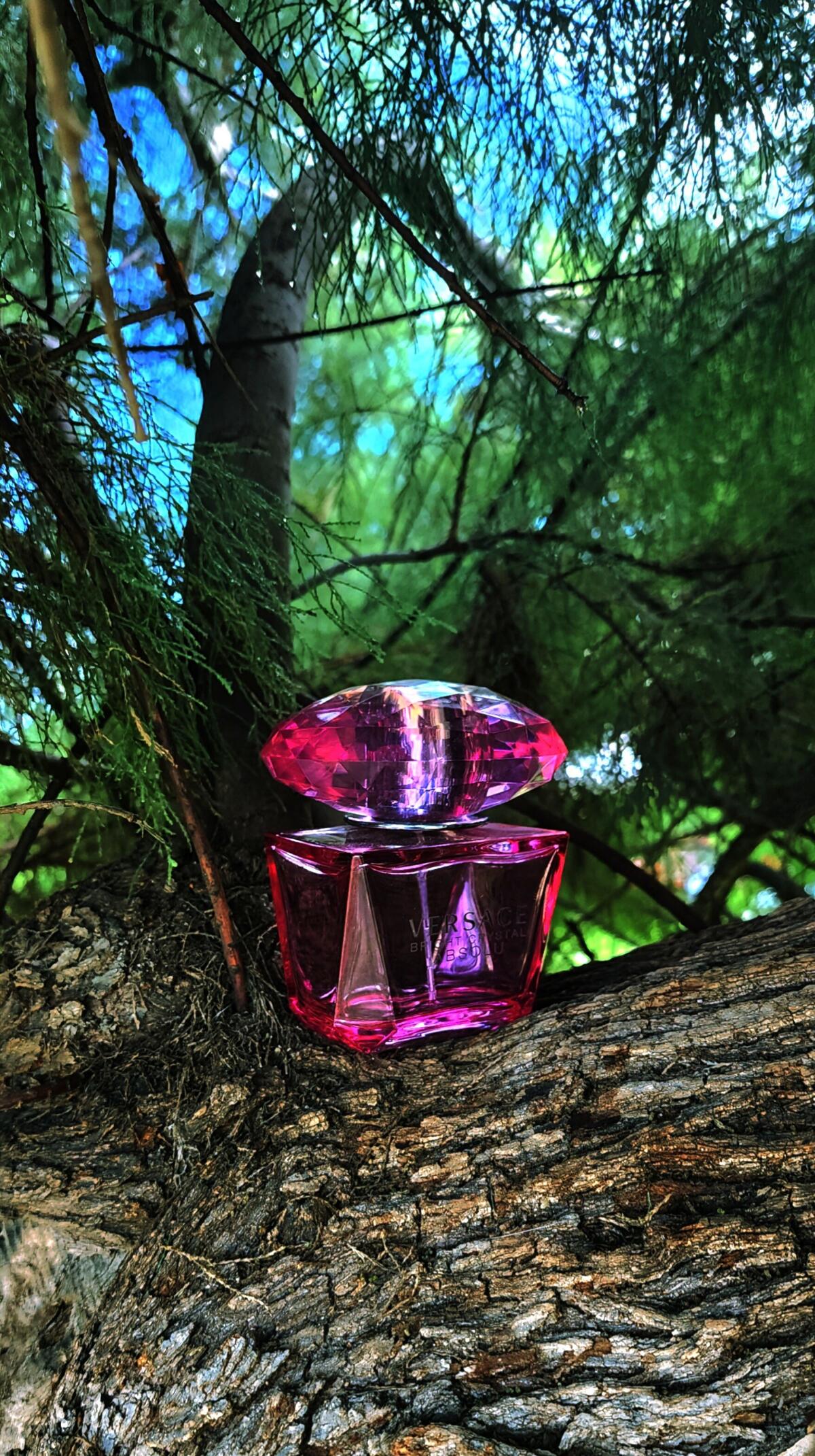 عطر ادکلن برایت کریستال ابسلو ورساچه - Bright Crystal Absolu Versace - بررسی، قیمت و خرید