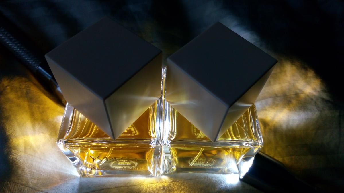 عطر ادکلن لا کالکشن وای ایو سن لورن - La Collection Y Yves Saint Laurent - بررسی، قیمت و خرید