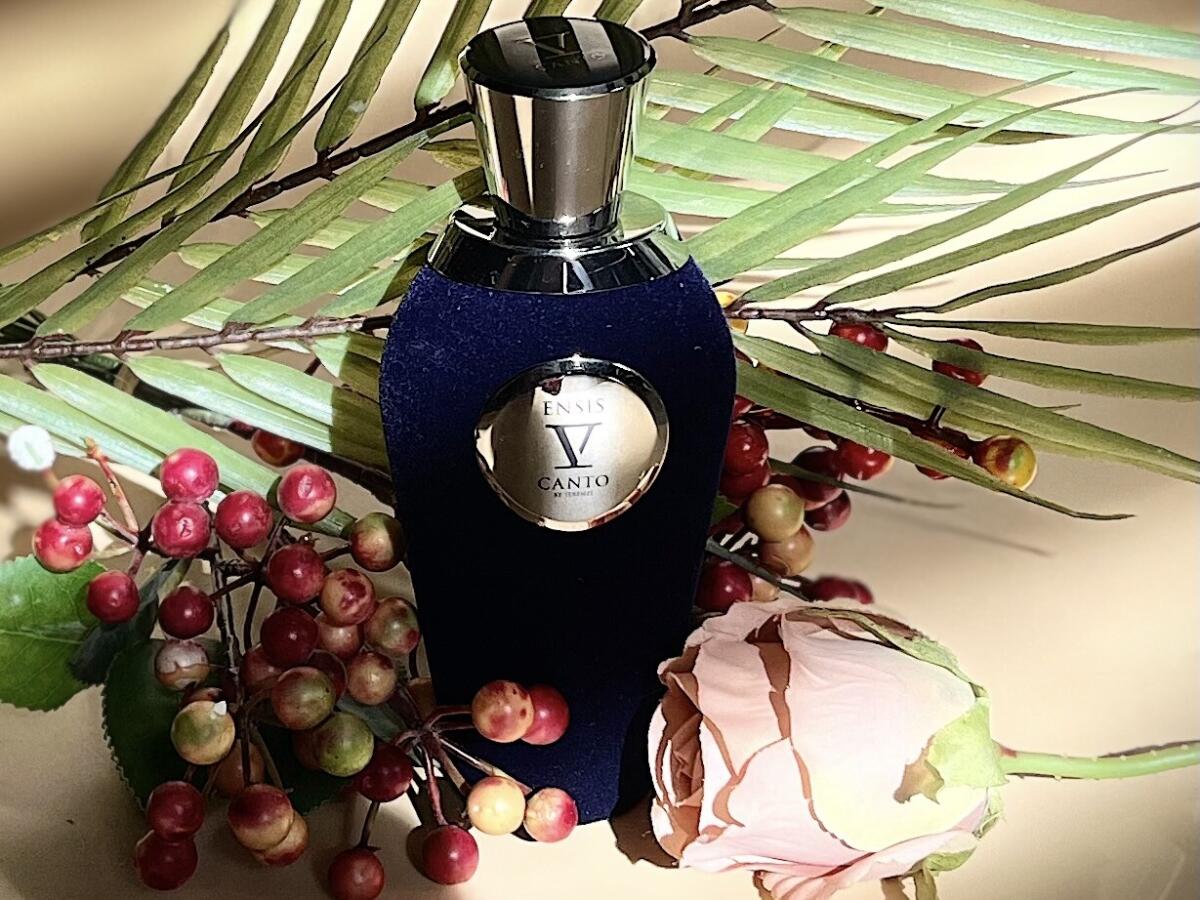 عطر ادکلن اینسیس وی کانتو - Ensis V Canto - بررسی، قیمت و خرید