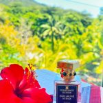 عطر ادکلن اود ژون اینتنس فراگرنس دو بوا - Oud Jaune Intense Fragrance Du Bois - بررسی، قیمت و خرید
