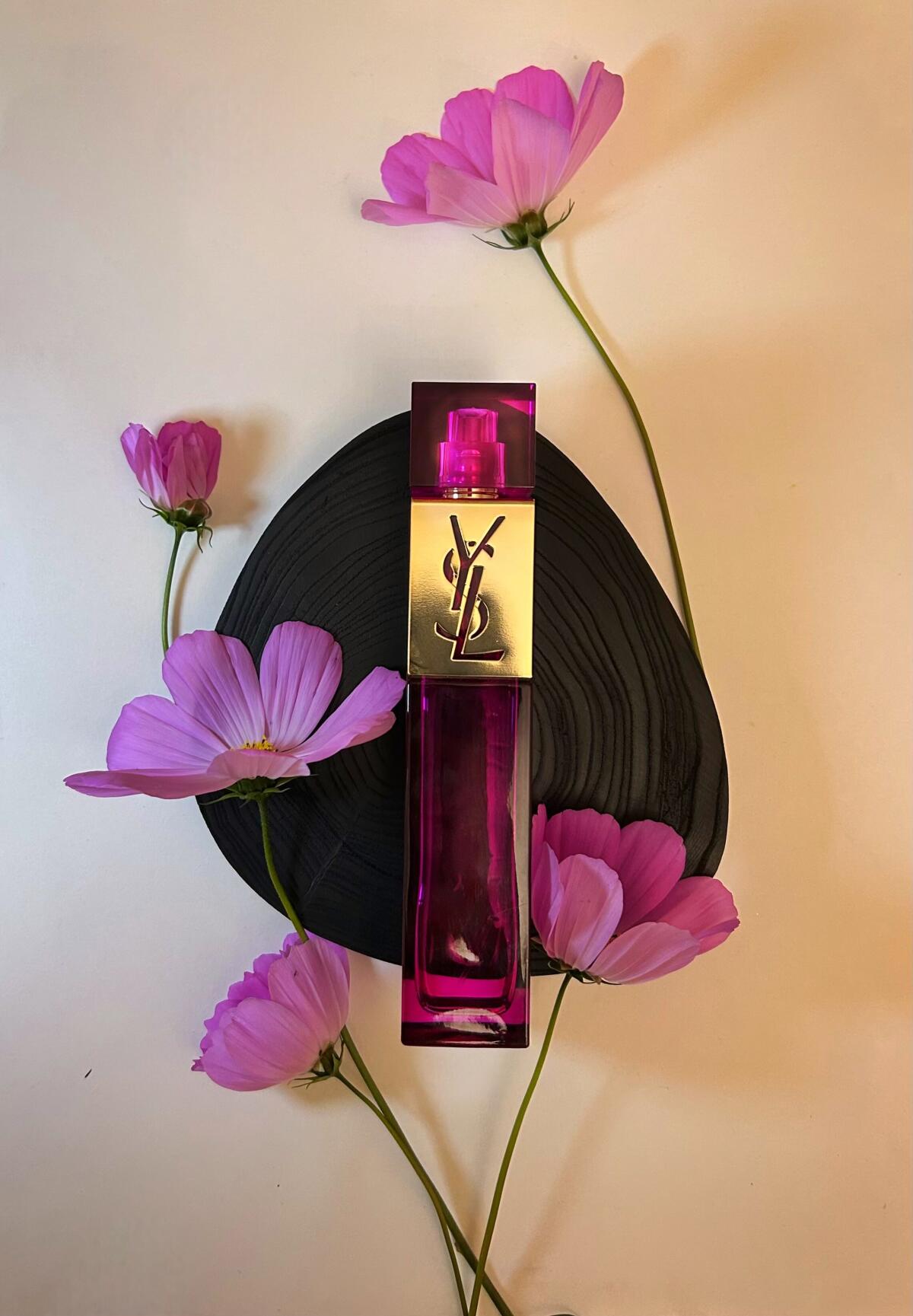 عطر ادکلن اِل ایو سن لوران - Elle Yves Saint Laurent - بررسی، قیمت و خرید