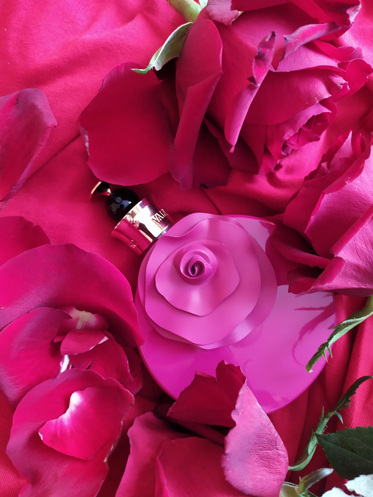 عطر ادکلن والنتینا روسا آسولوتو والنتینو - Valentina Rosa Assoluto Valentino - بررسی، قیمت و خرید