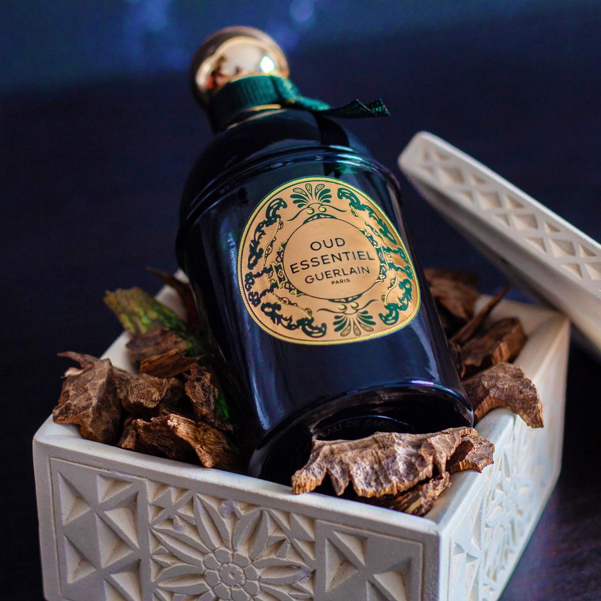 عطر ادکلن اود اسنشیال لز ابسلو دی اورینت گرلن - Les Absolus d'Orient Oud Essentiel Guerlain - بررسی، قیمت و خرید