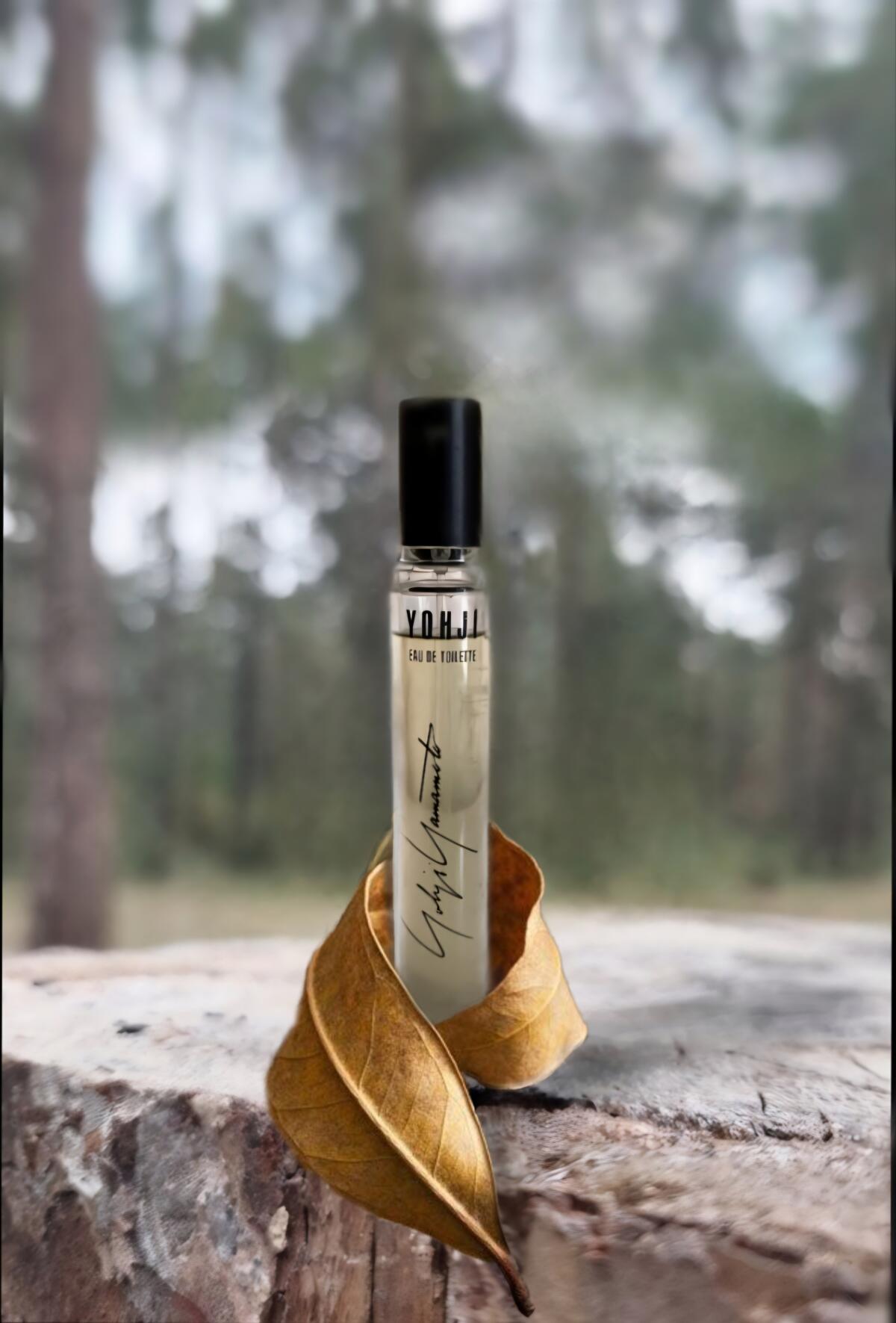 عطر ادکلن یوجی یوجی یاماموتو - Yohji Yohji Yamamoto - بررسی، قیمت و خرید