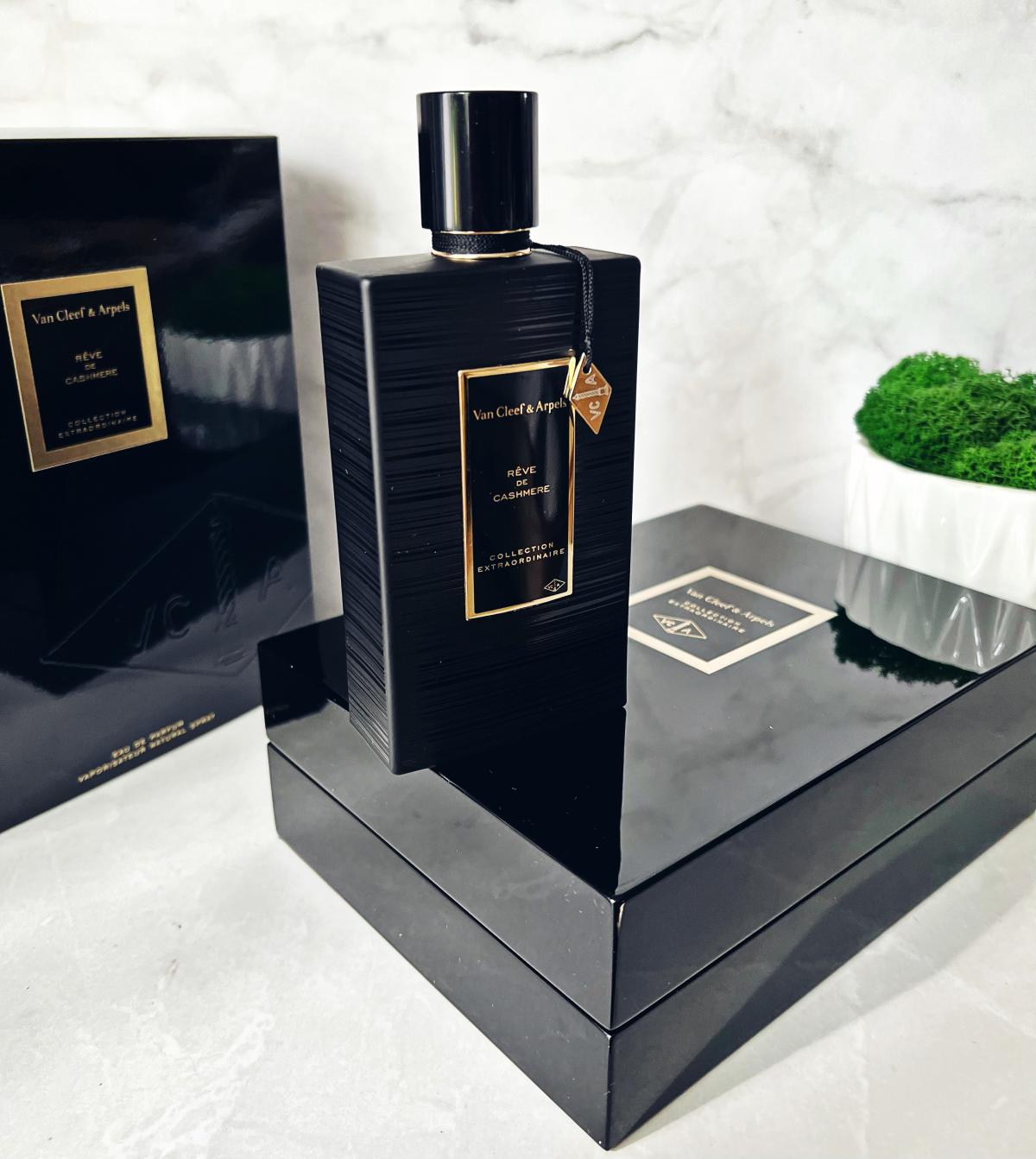عطر ادکلن رِو دو کَشمیر ون کلیف اند آرپلز - Rêve de Cashmere Van Cleef & Arpels - بررسی، قیمت و خرید