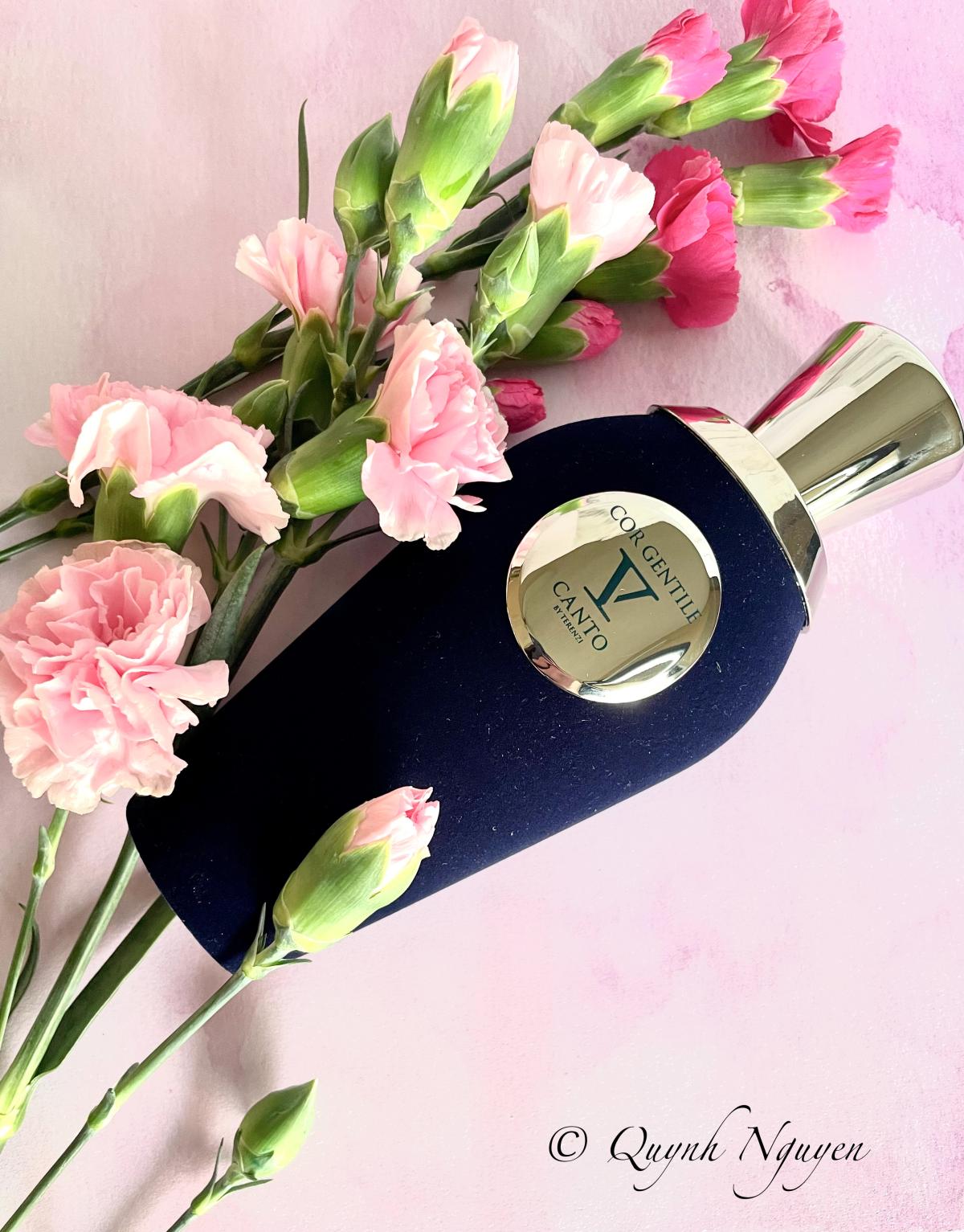 عطر ادکلن کور جنتایل وی کنتو - Cor Gentile V Canto - بررسی، قیمت و خرید