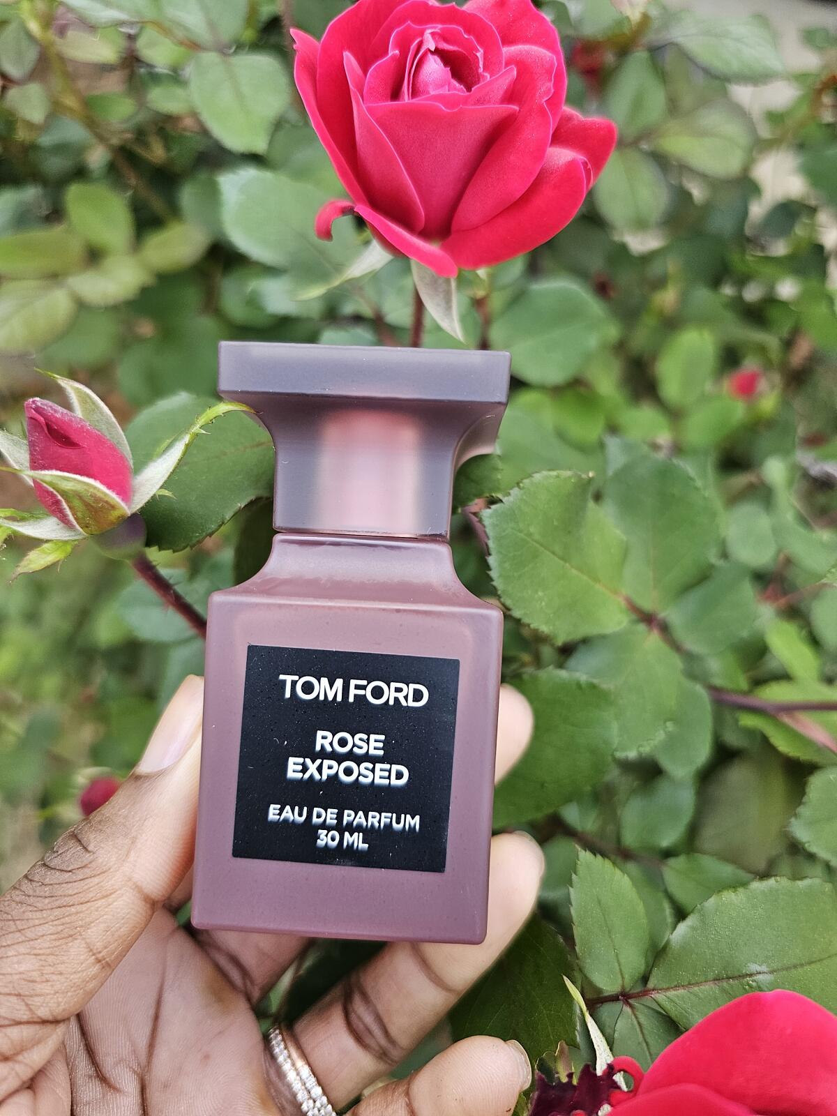 عطر ادکلن رز اکسپوزد تام فورد - Rose Exposed Tom Ford - بررسی، قیمت و خرید