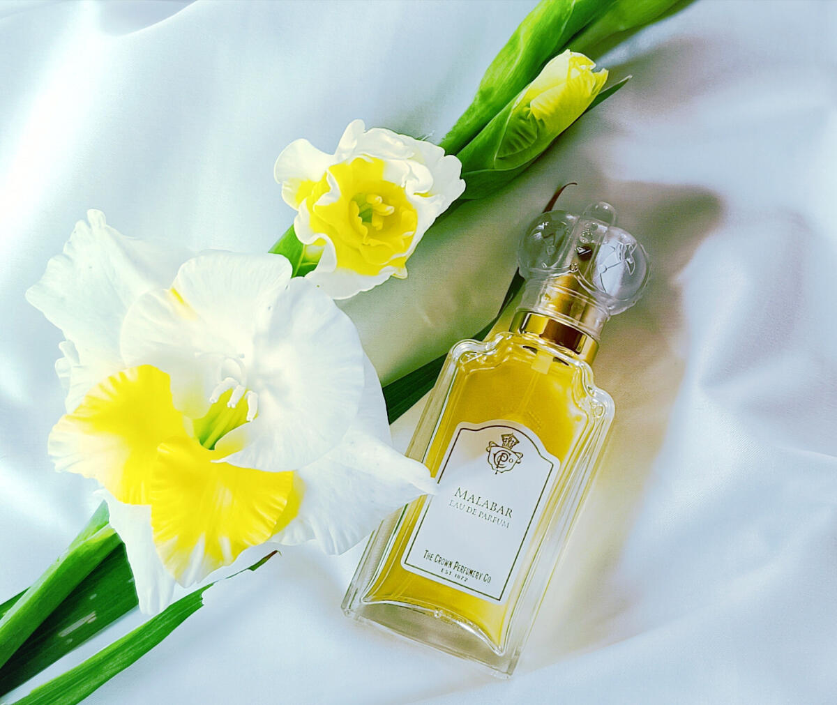 عطر ادکلن مالابار د کرون پرفیومری کو - Malabar The Crown Perfumery Co. - بررسی، قیمت و خرید