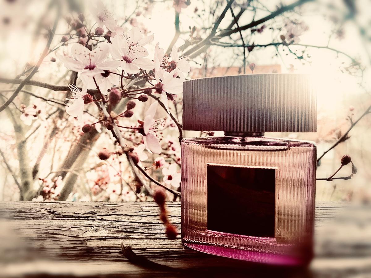 عطر ادکلن کافه رز تام فورد - Café Rose (2023) Tom Ford - بررسی، قیمت و خرید