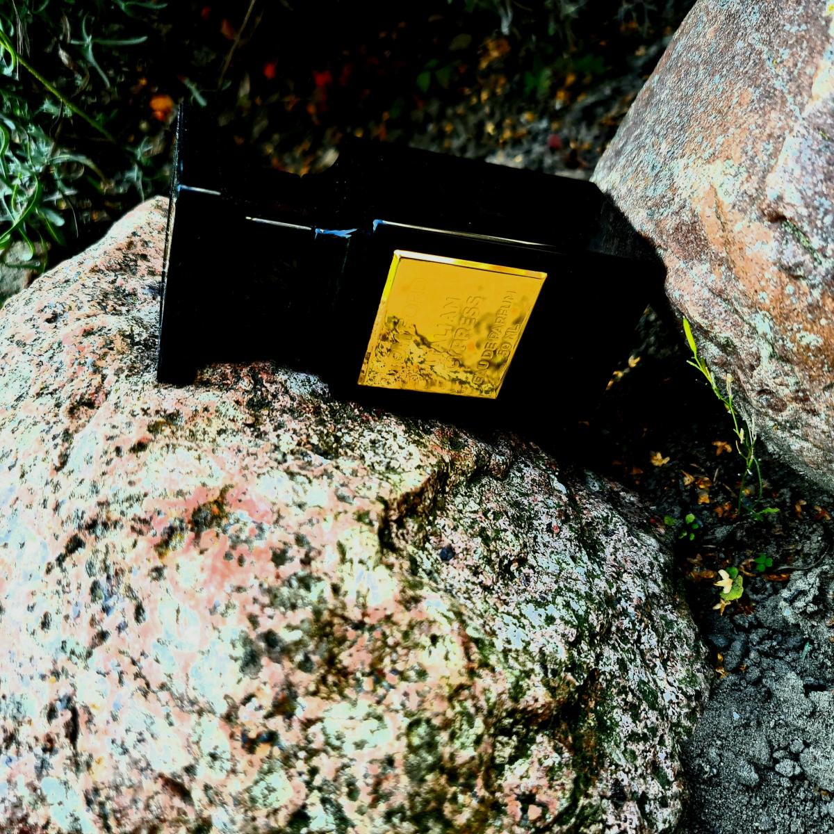 عطر ادکلن ریزرو کالکشن: ایتالیَن سایپرس تام فورد - Reserve Collection: Italian Cypress Tom Ford - بررسی، قیمت و خرید