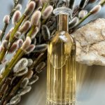 عطر ادکلن اسپلندور الیزابت آردن - Splendor Elizabeth Arden - بررسی، قیمت و خرید