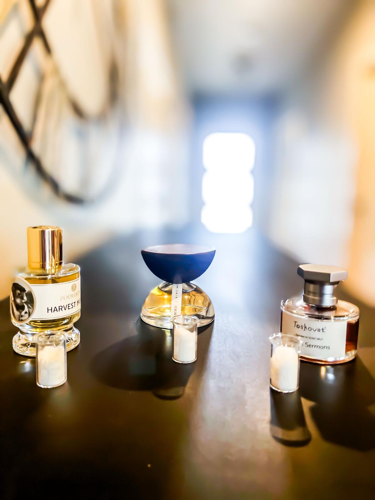 عطر ادکلن آمو شینو - Ummo Xinú - بررسی، قیمت و خرید