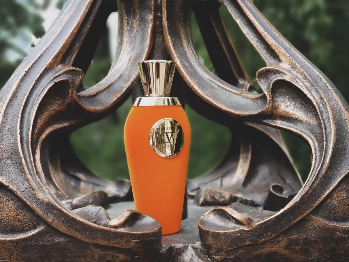 عطر ادکلن مالاتستا وی کانتو - Malatesta V Canto - بررسی، قیمت و خرید