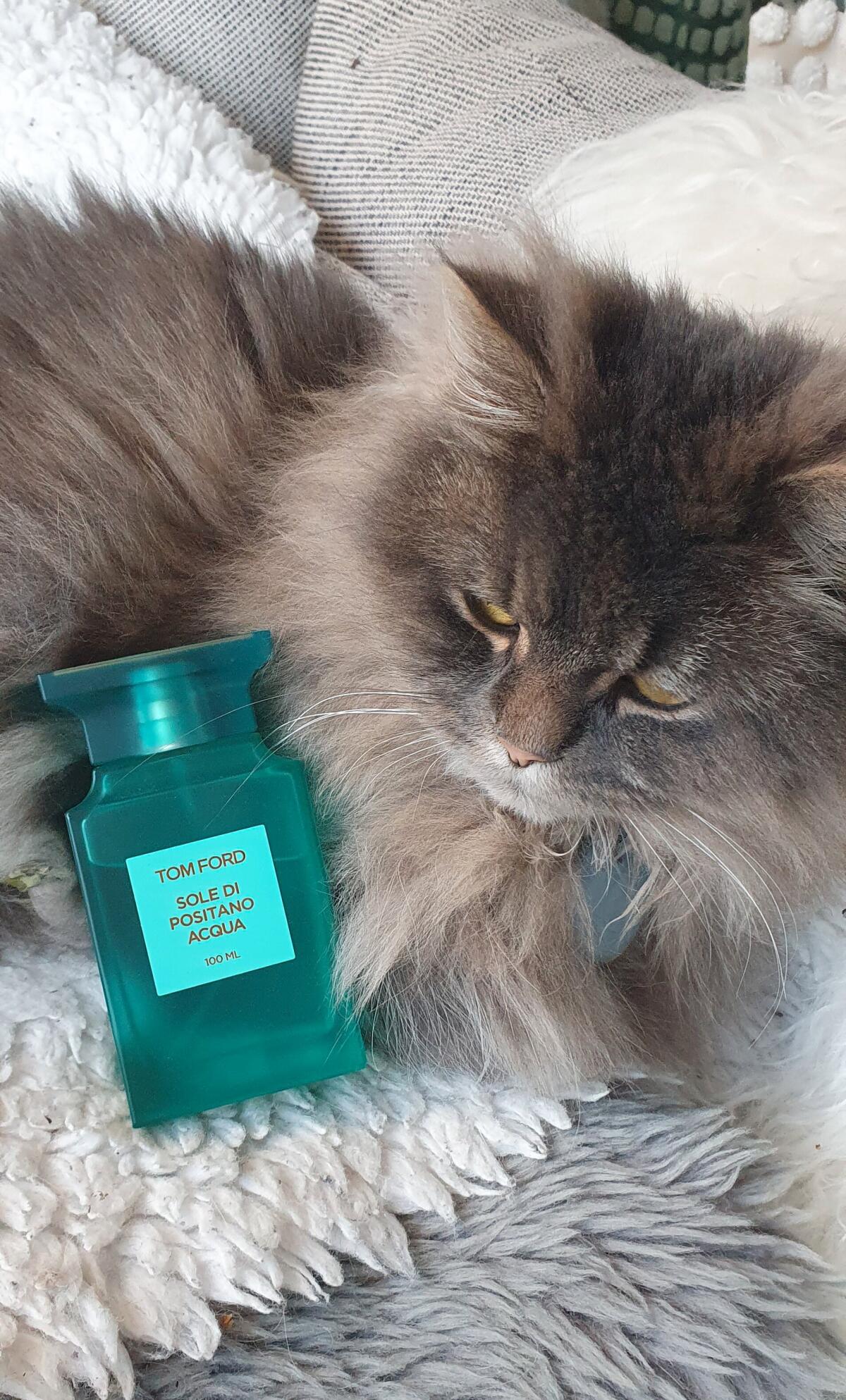 عطر ادکلن سوله دی پوزیتانو آکوا تام فورد - Sole Di Positano Acqua Tom Ford - بررسی، قیمت و خرید