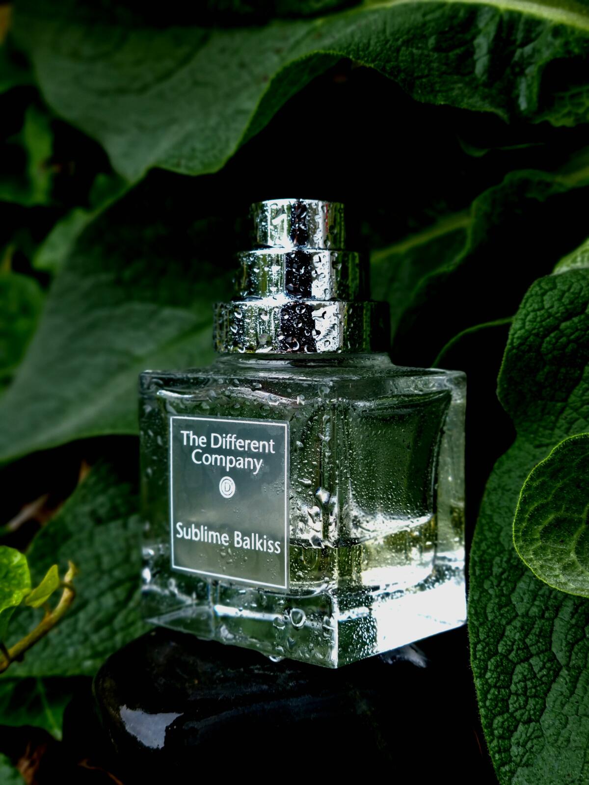 عطر ادکلن سابلیم بالکیس د دیفرنت کامپنی - Sublime Balkiss The Different Company - بررسی، قیمت و خرید