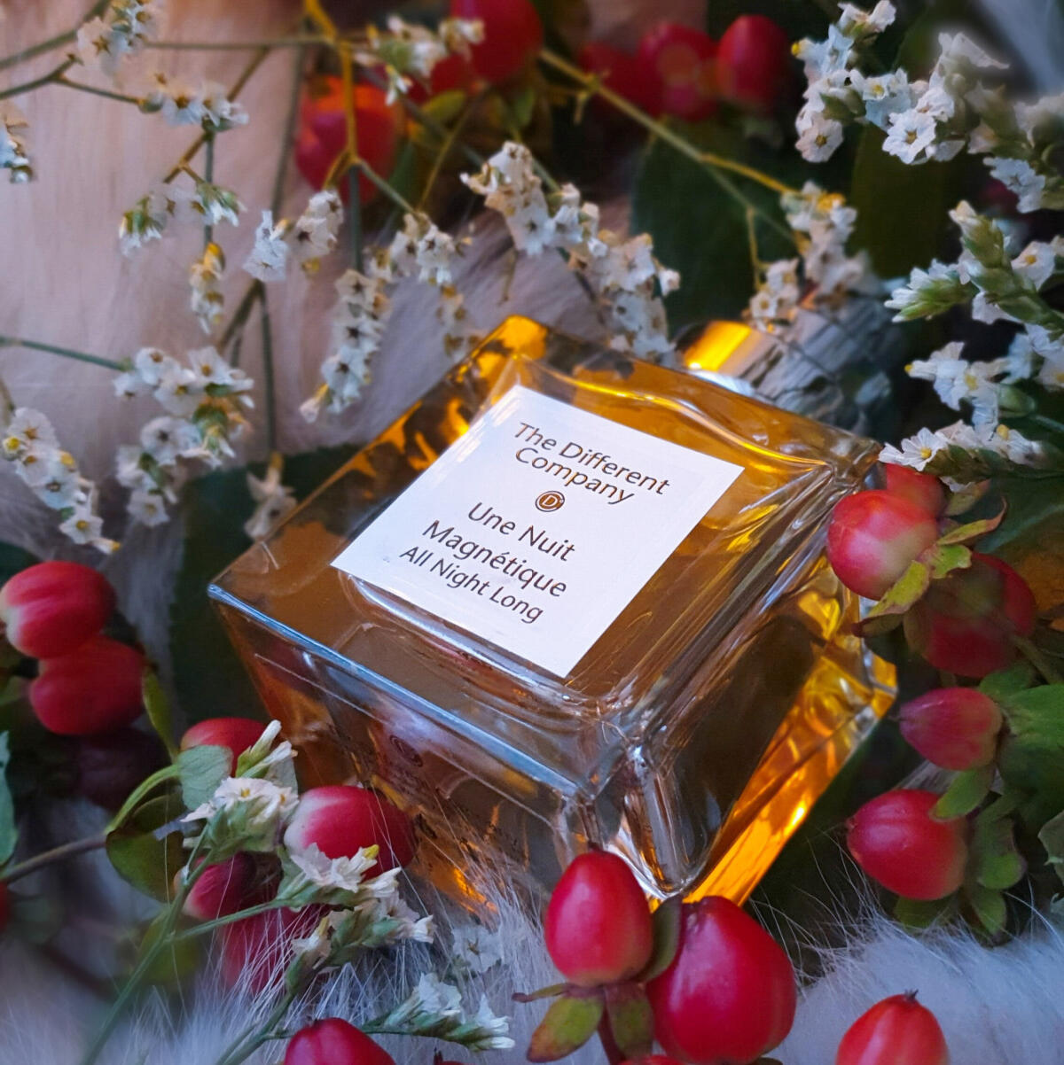 عطر ادکلن اون نویت مگنتیک دی دیفرنت کامپنی - Une Nuit Magnetique The Different Company - بررسی، قیمت و خرید