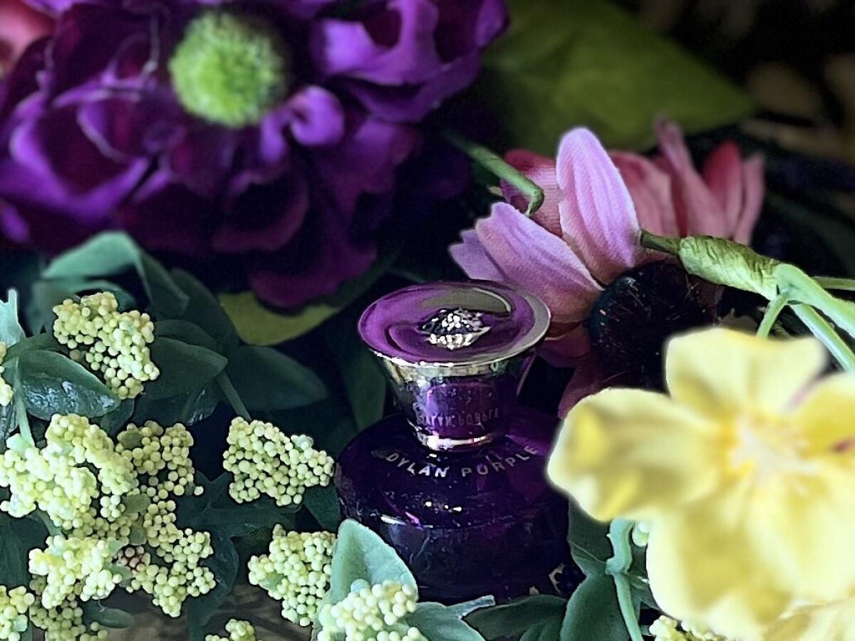 عطر ادکلن ورساچه پور فم دیلان پرپل ورساچه - Versace Pour Femme Dylan Purple Versace - بررسی، قیمت و خرید