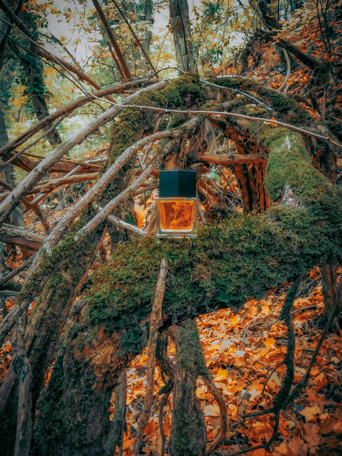 عطر ادکلن ام هفت ایو سن لورن - M7 Yves Saint Laurent - بررسی، قیمت و خرید