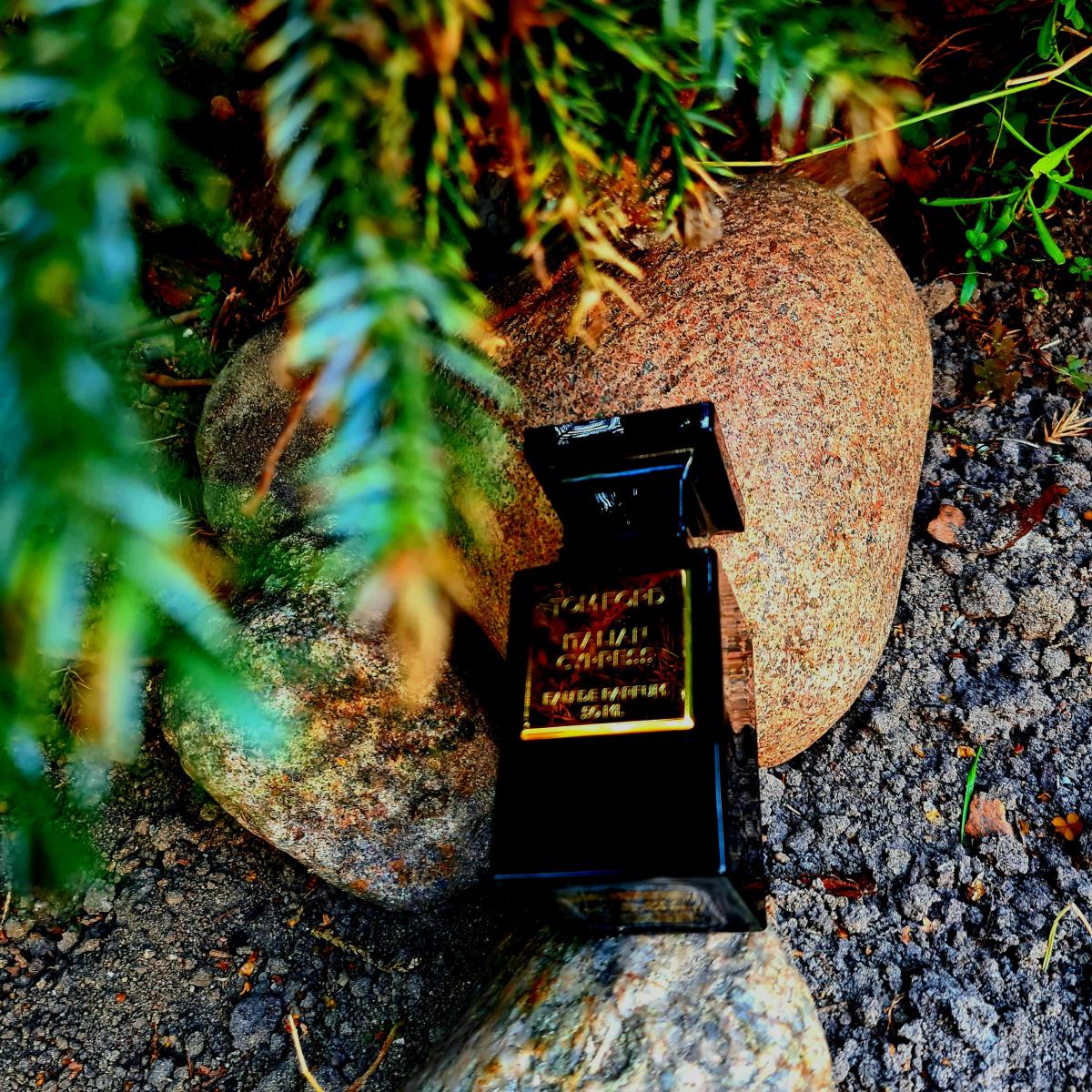عطر ادکلن ریزرو کالکشن: ایتالیَن سایپرس تام فورد - Reserve Collection: Italian Cypress Tom Ford - بررسی، قیمت و خرید