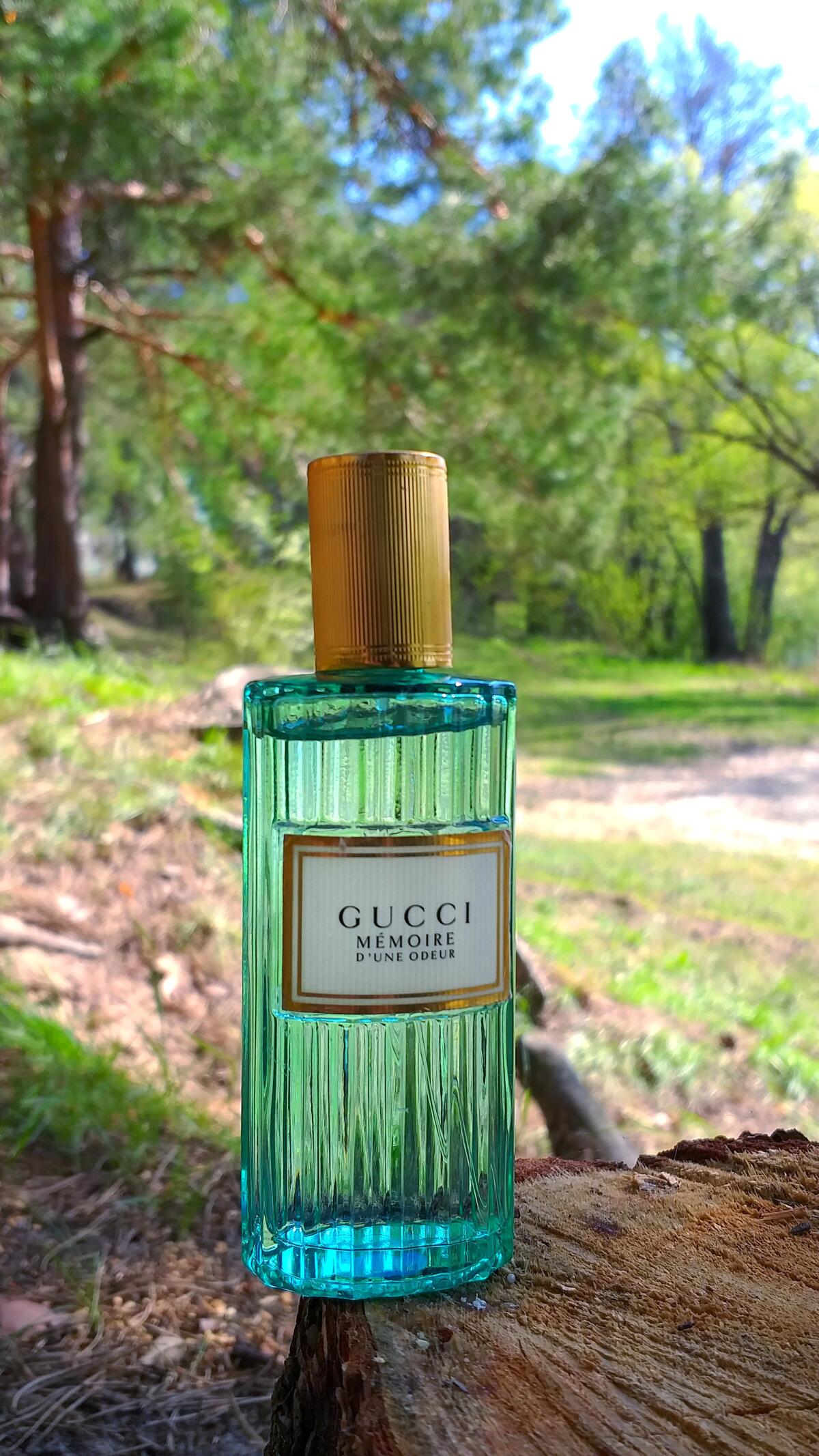 عطر ادکلن ممور دون اودور گوچی - Mémoire d’une Odeur Gucci - بررسی، قیمت و خرید