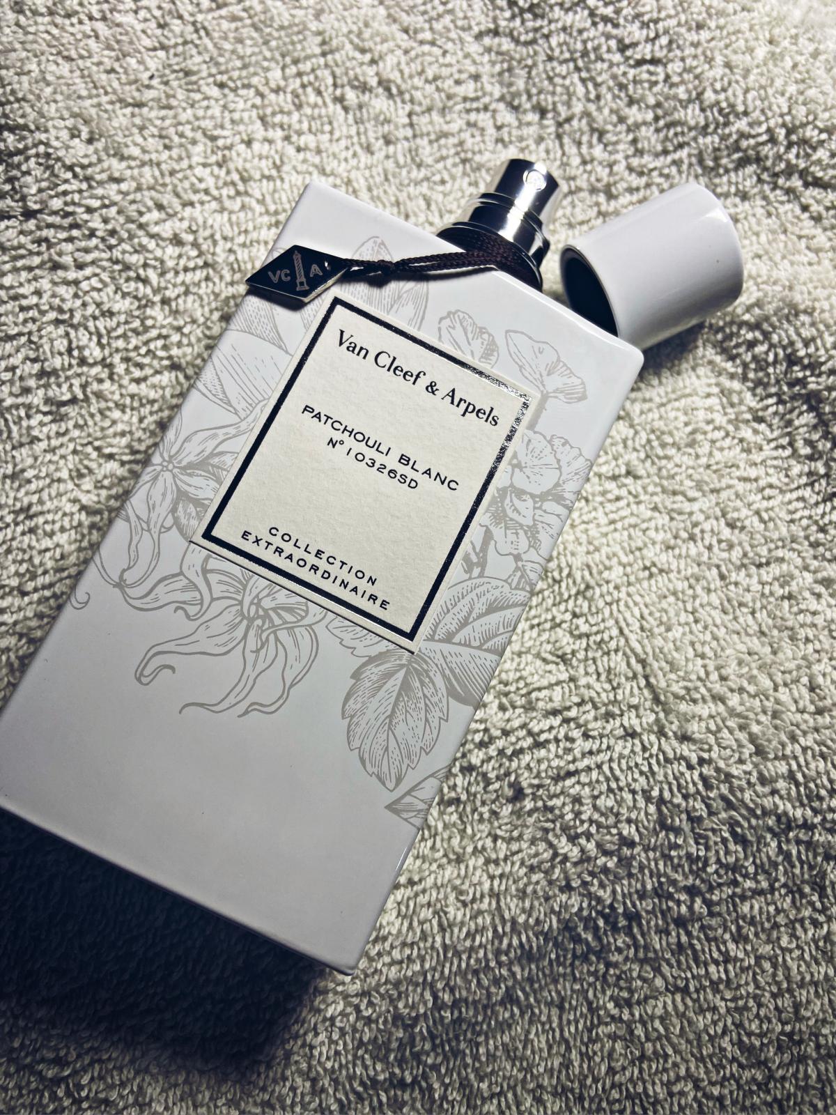 عطر ادکلن پچولی بلانک ون کلیف اند آرپلز - Patchouli Blanc Van Cleef & Arpels - بررسی، قیمت و خرید