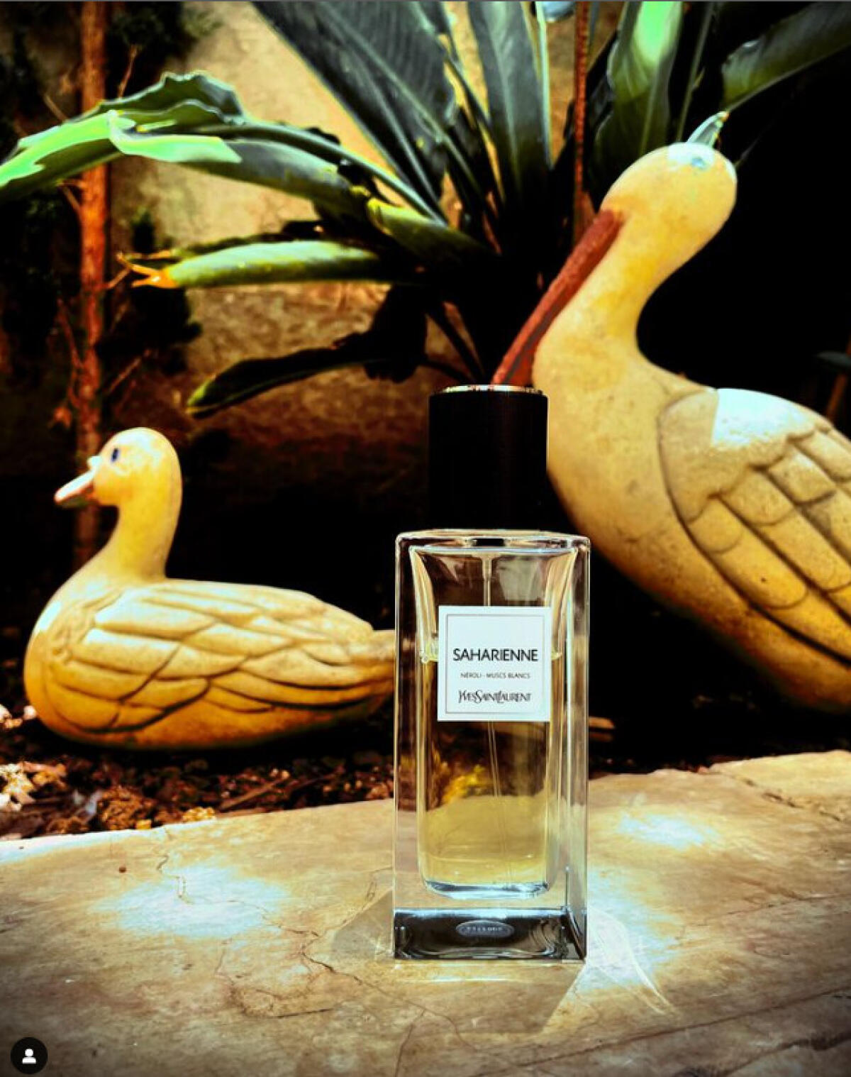 عطر ادکلن ساهارین ایو سن لورن - Saharienne Yves Saint Laurent - بررسی، قیمت و خرید
