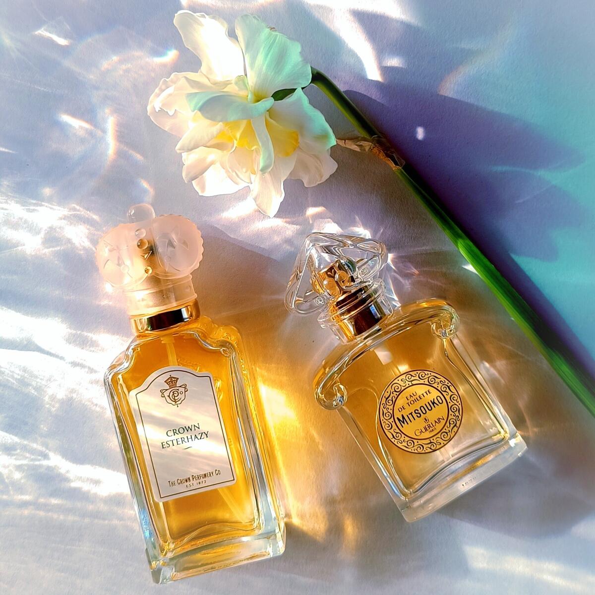 عطر ادکلن کرون استرازی د کرون پرفیومری کو - Crown Esterhazy The Crown Perfumery Co. - بررسی، قیمت و خرید