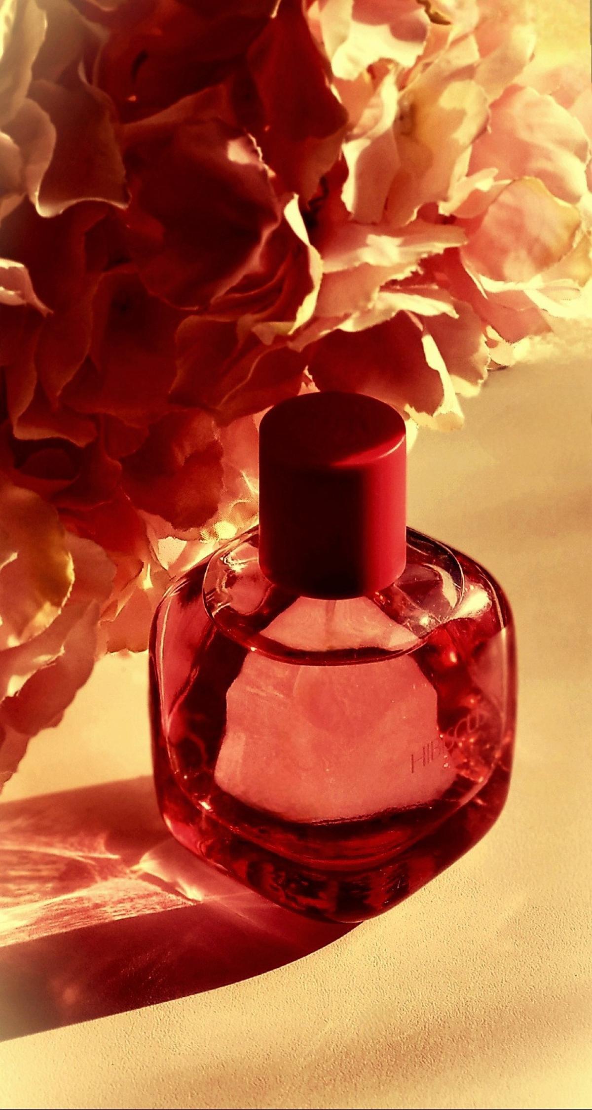 عطر ادکلن هايبیسکاس زارا - Hibiscus Zara - بررسی، قیمت و خرید