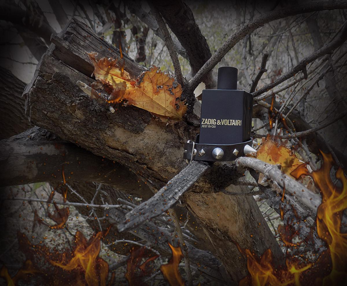 عطر ادکلن جاست راک فور هیم زادیک اند ولتر - Just Rock! for Him Zadig & Voltaire - بررسی، قیمت و خرید