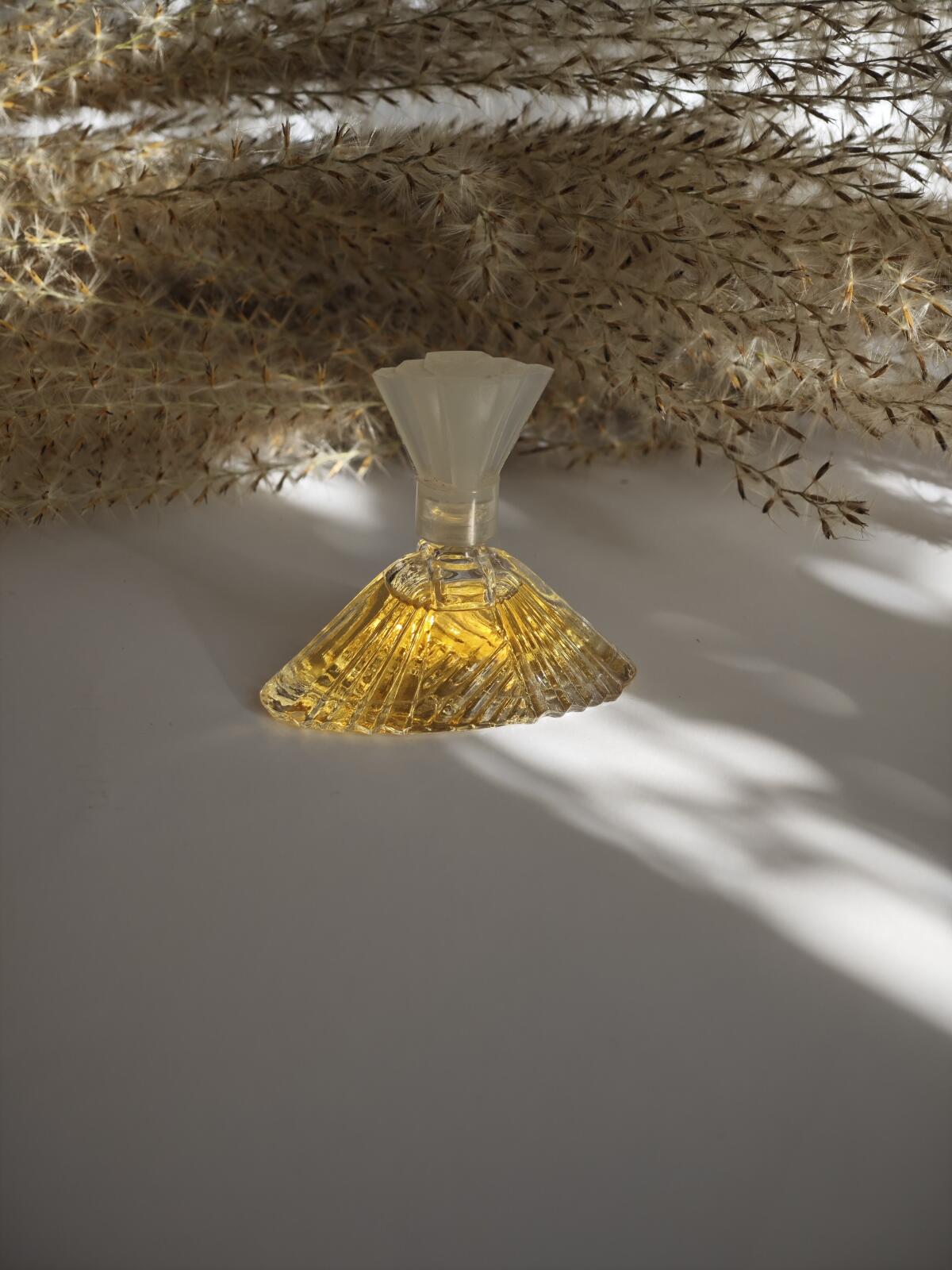 عطر ادکلن تیتا دی تیتا روسی تیتا روسی - Tita de Tita Rossi Tita Rossi - بررسی، قیمت و خرید