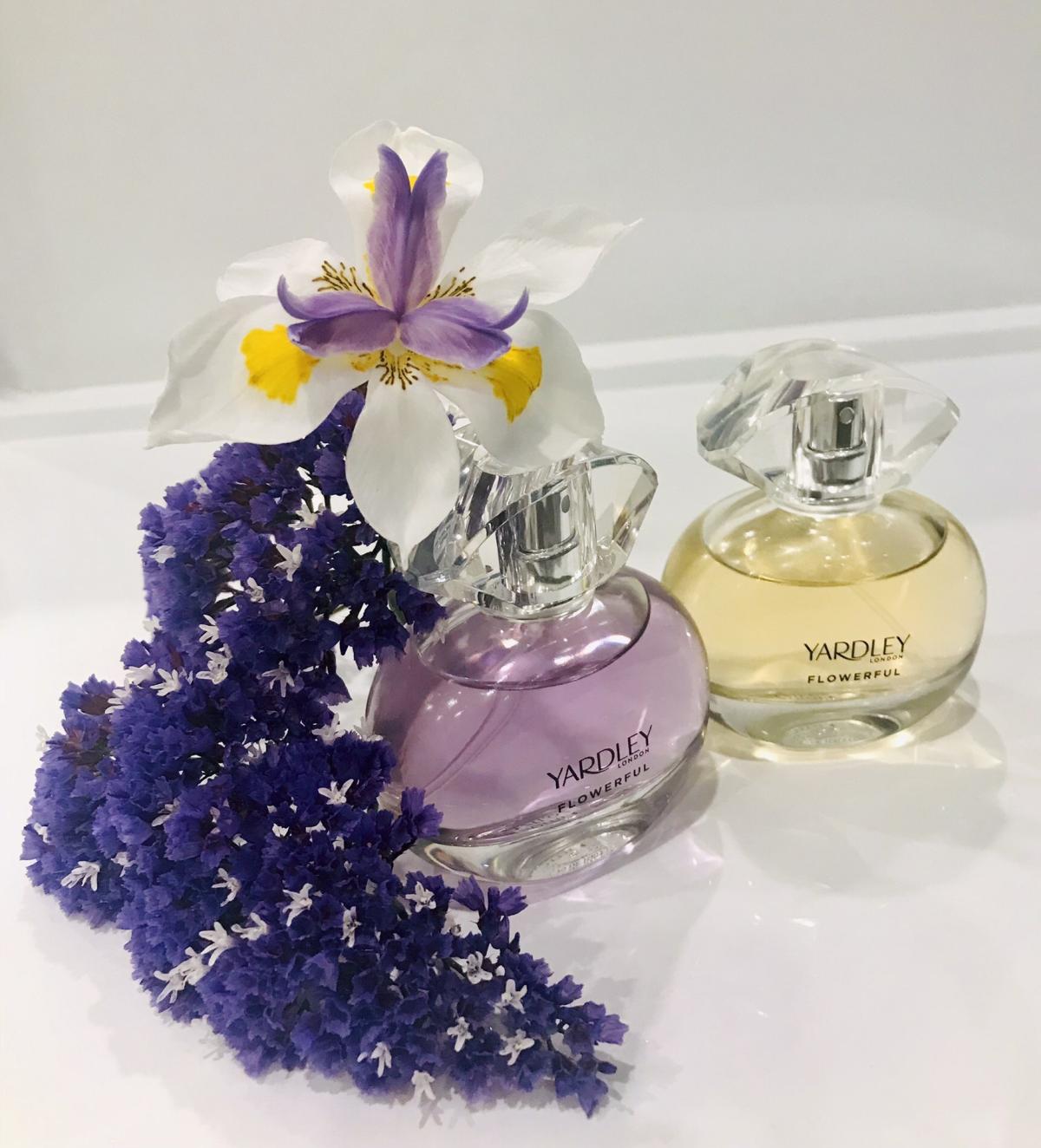 عطر ادکلن دکدنت میموسا یاردلی - Decadent Mimosa Yardley - بررسی، قیمت و خرید