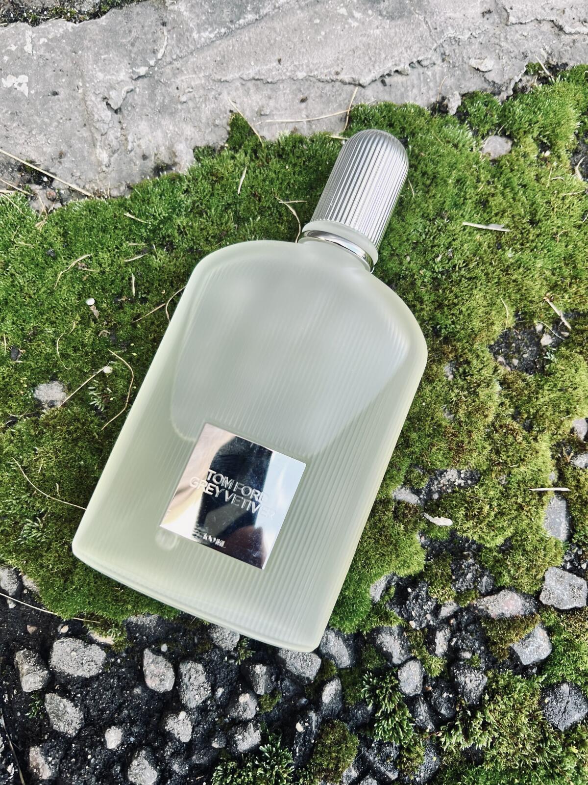 عطر ادکلن گری وتیور او دو تویلت تام فورد - Grey Vetiver Eau de Toilette Tom Ford - بررسی، قیمت و خرید