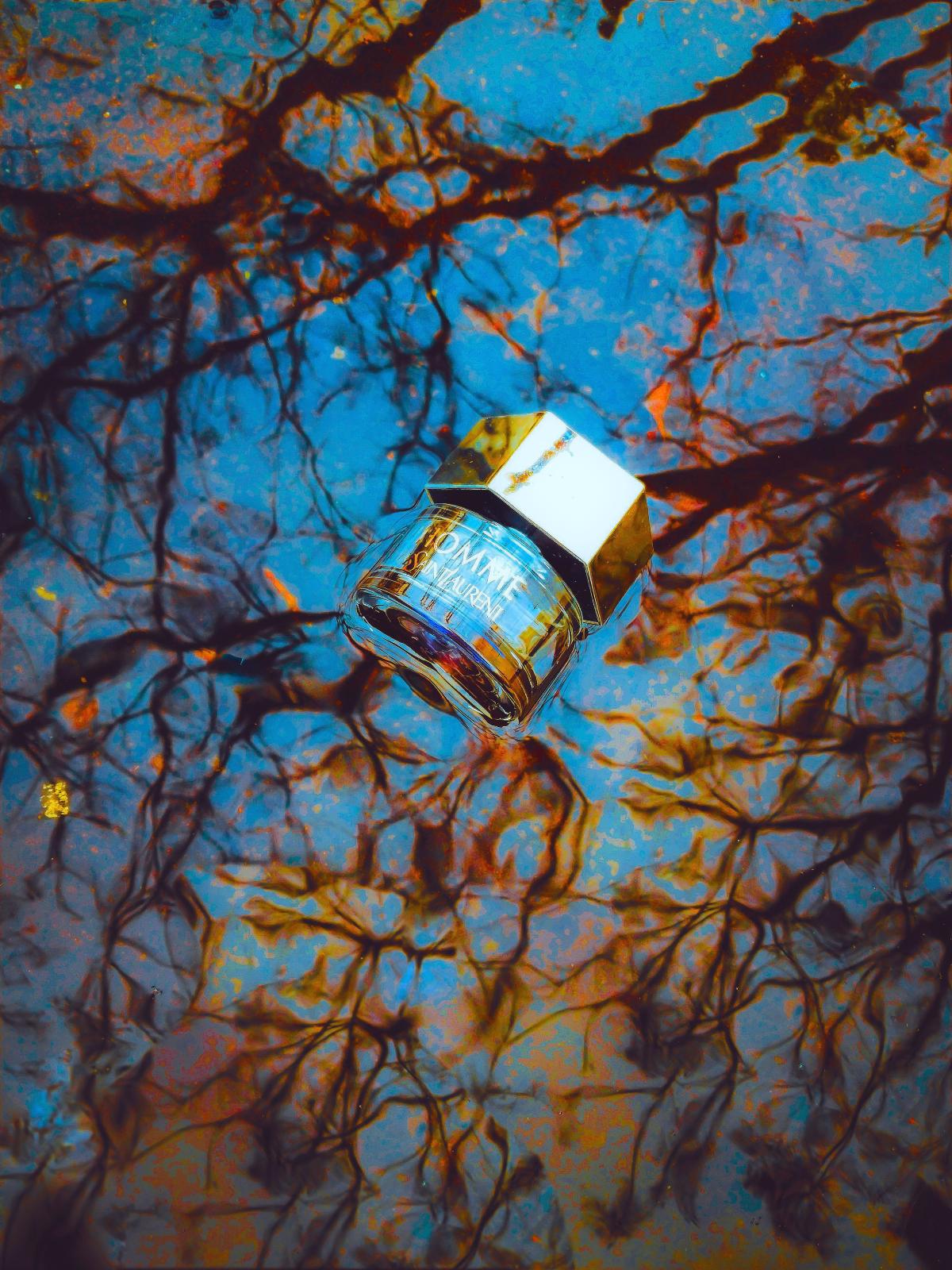 عطر ادکلن لوم ایو سن لورن - L'Homme Yves Saint Laurent - بررسی، قیمت و خرید