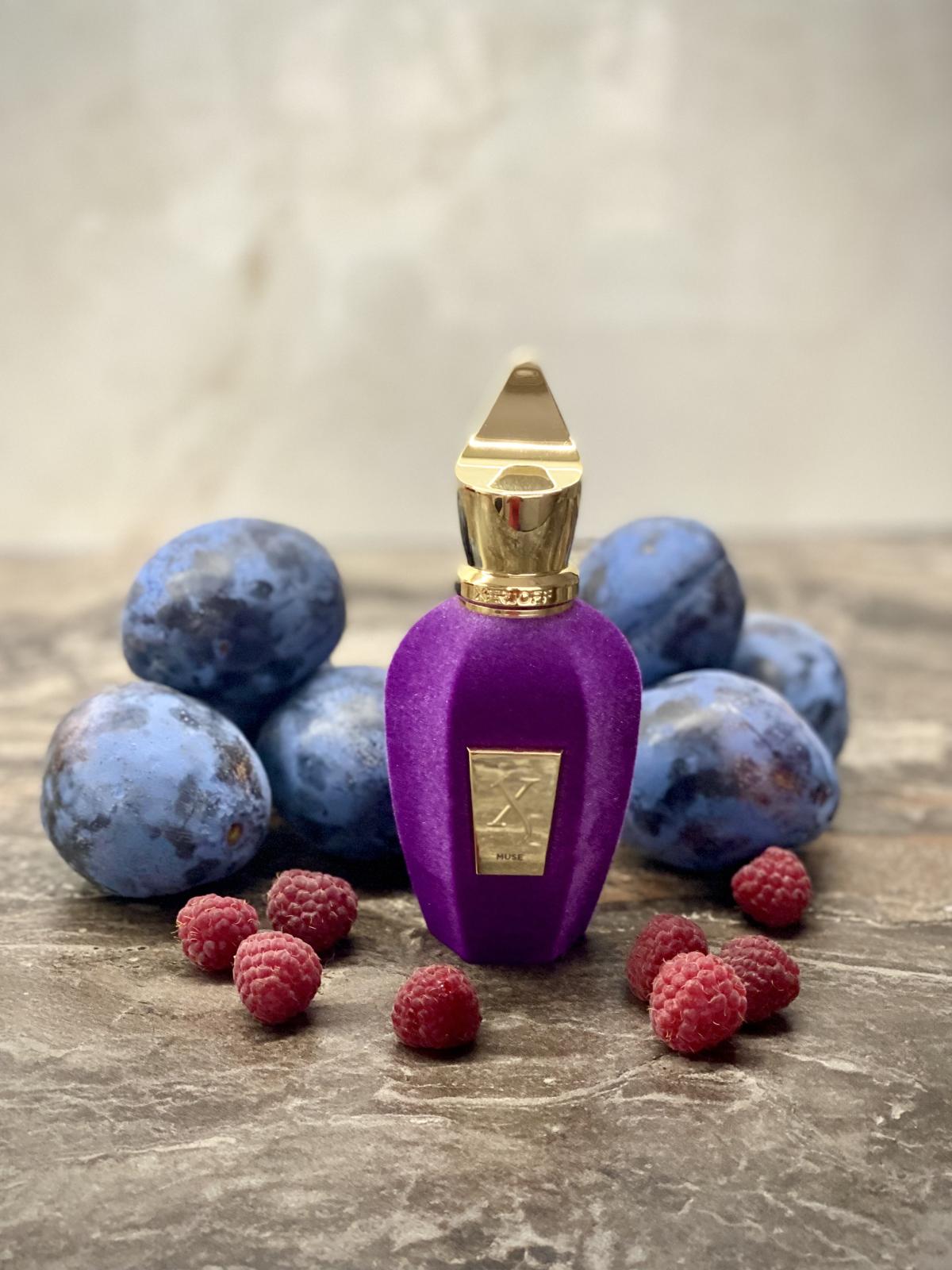 عطر ادکلن میوز زرجف - Muse Xerjoff - بررسی، قیمت و خرید