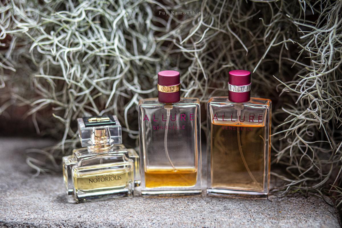 عطر ادکلن نوتوریوس رالف لورن - Notorious Ralph Lauren - بررسی، قیمت و خرید