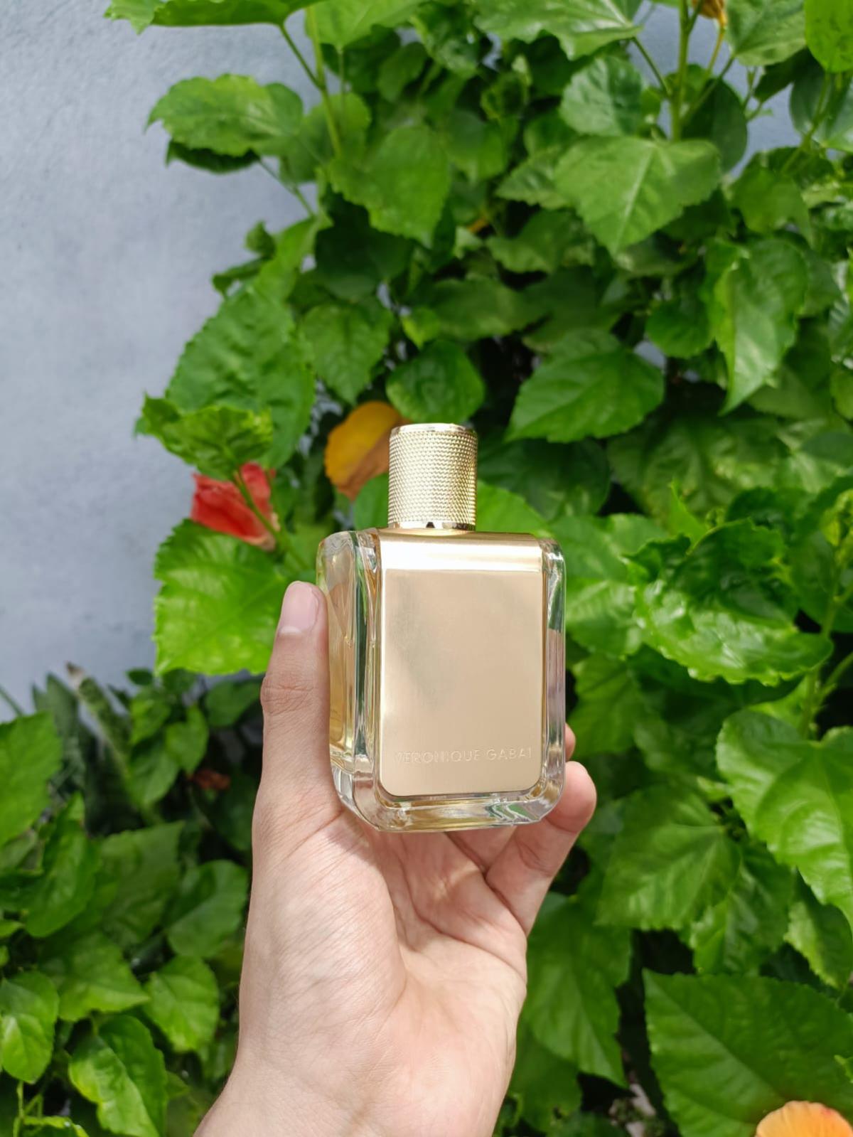 عطر ادکلن رِدی فور رزِ ورونیک گبای - Ready For Rosé Veronique Gabai - بررسی، قیمت و خرید