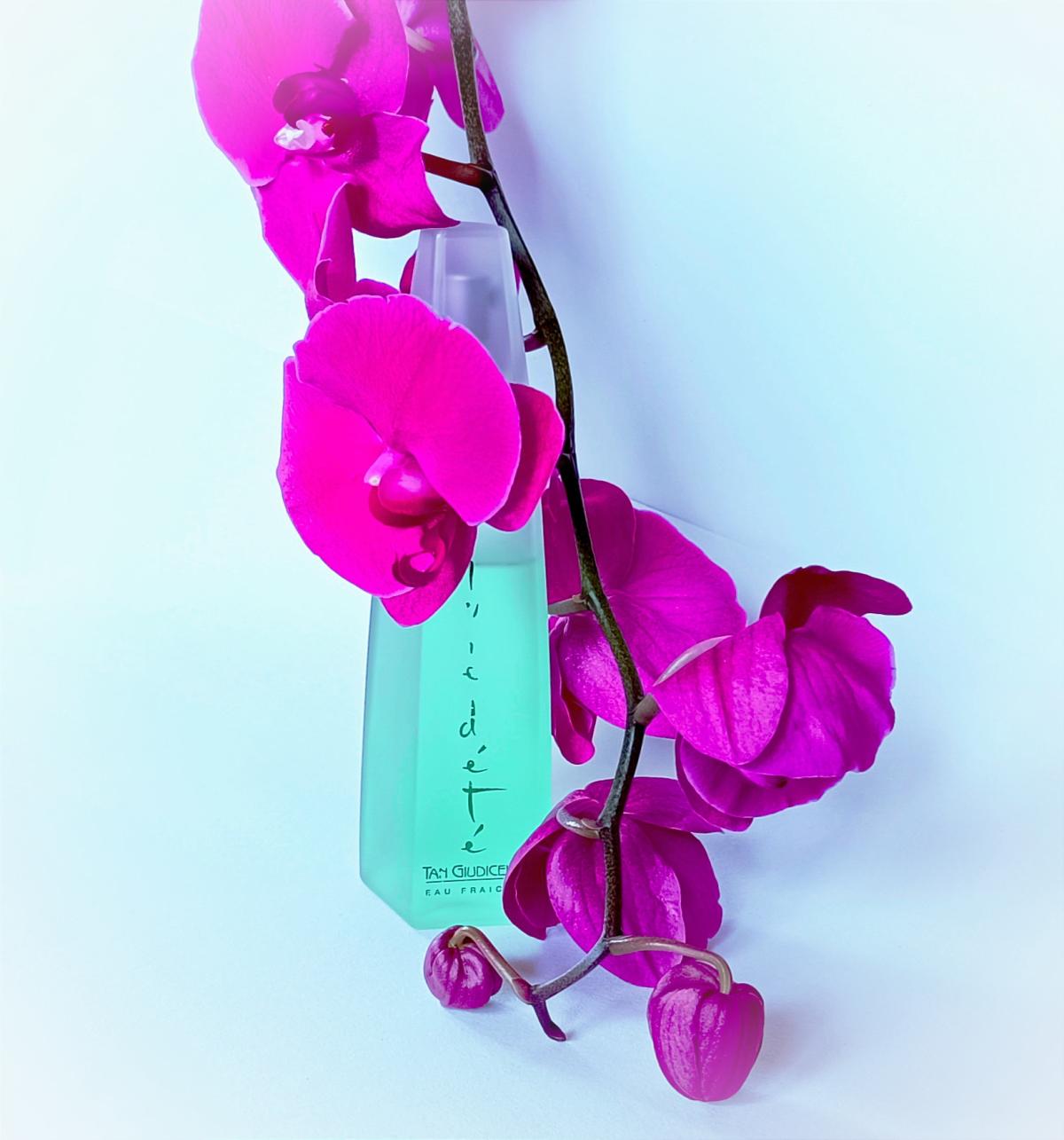 عطر ادکلن پلویدته تن جوادچلی - Pluie d'Ete Tan Giudicelli - بررسی، قیمت و خرید