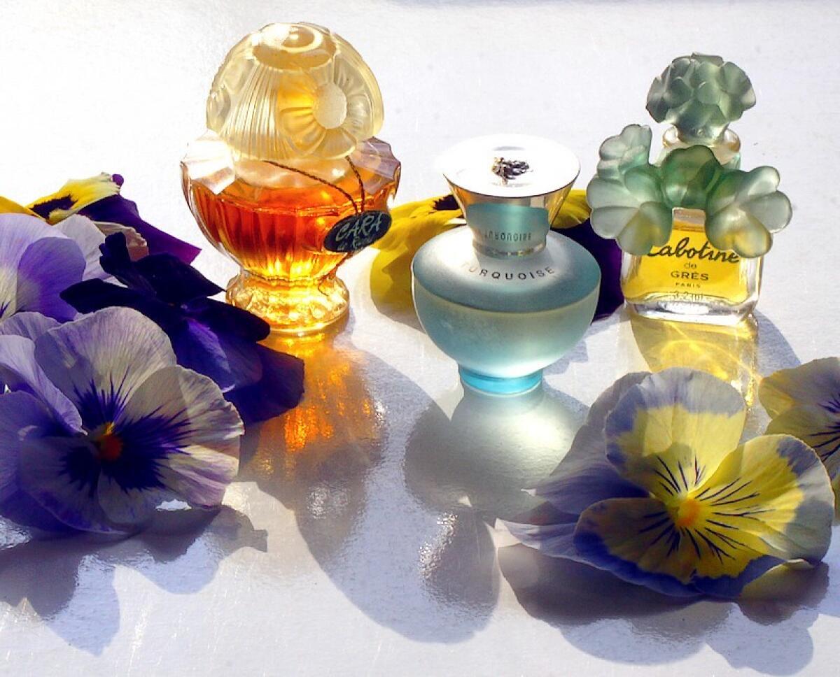 عطر ادکلن ورساچه پور فم دیلن تورکویز ورساچه - Versace Pour Femme Dylan Turquoise Versace - بررسی، قیمت و خرید