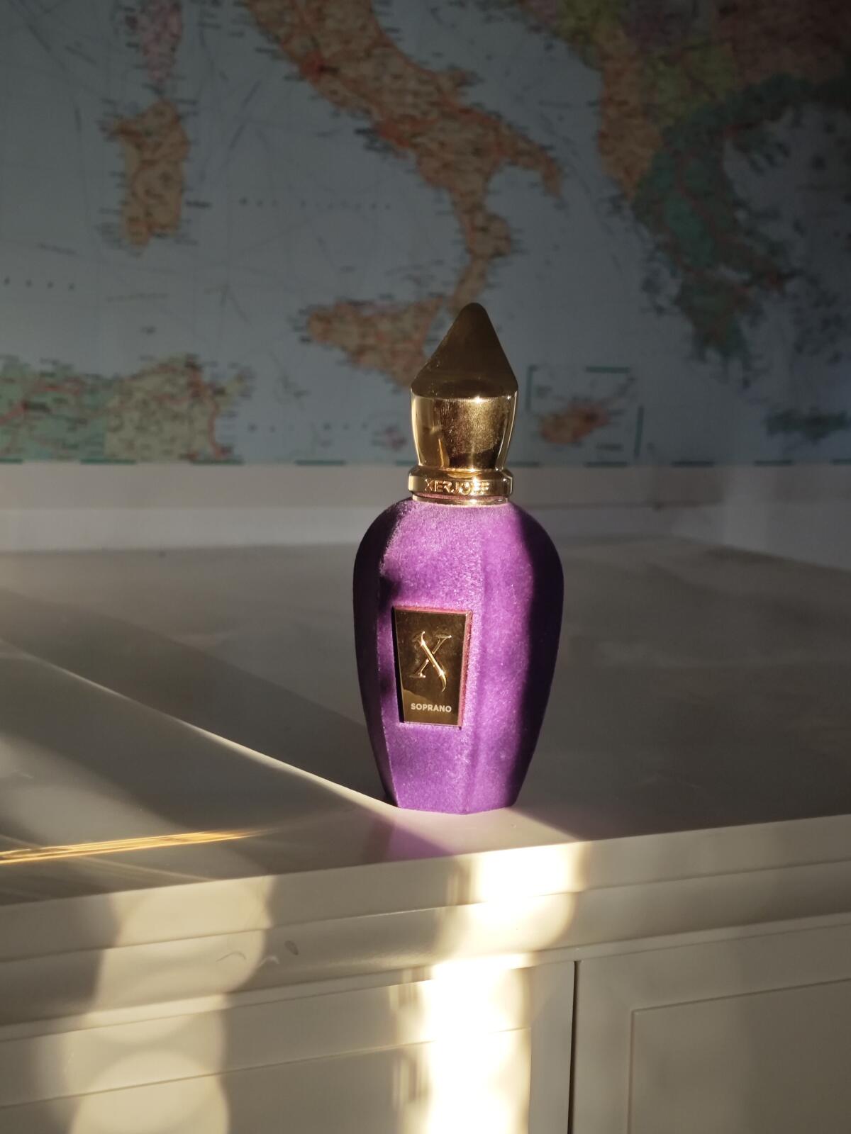 عطر ادکلن میوز زرجف - Muse Xerjoff - بررسی، قیمت و خرید